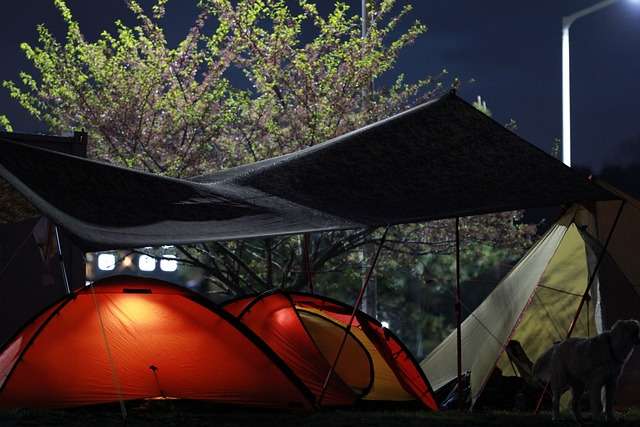 Camping tent, night