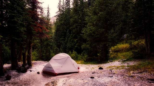 Camp in the middle of forest