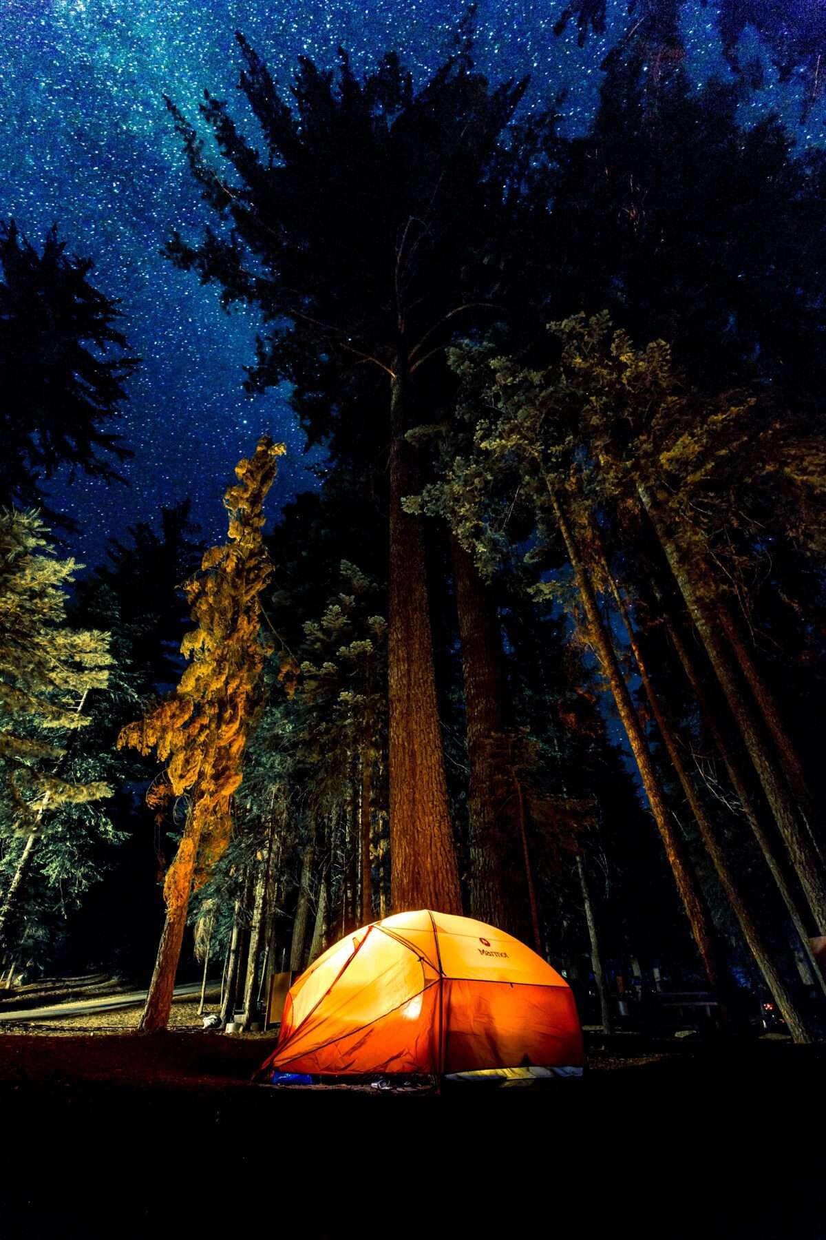 Tent in a cozy surrounding