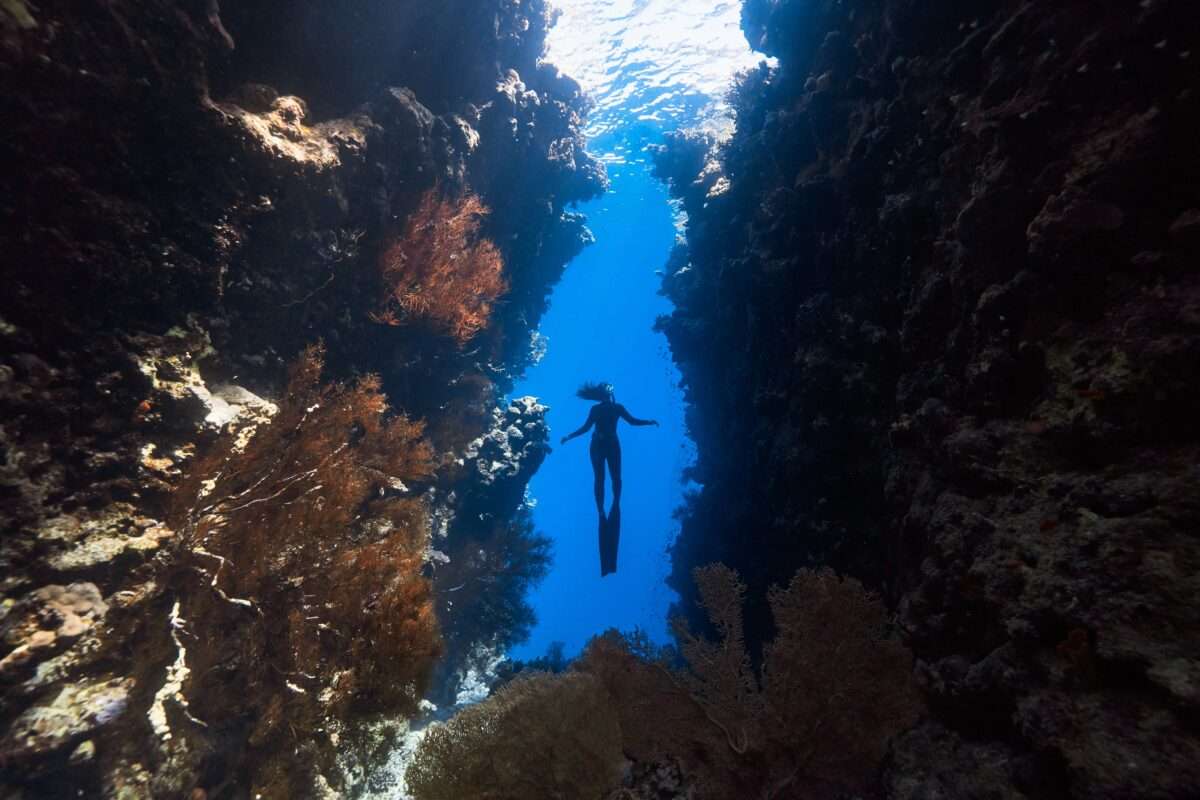 John Pennekamp Coral Reef State Park in the Florida Keys