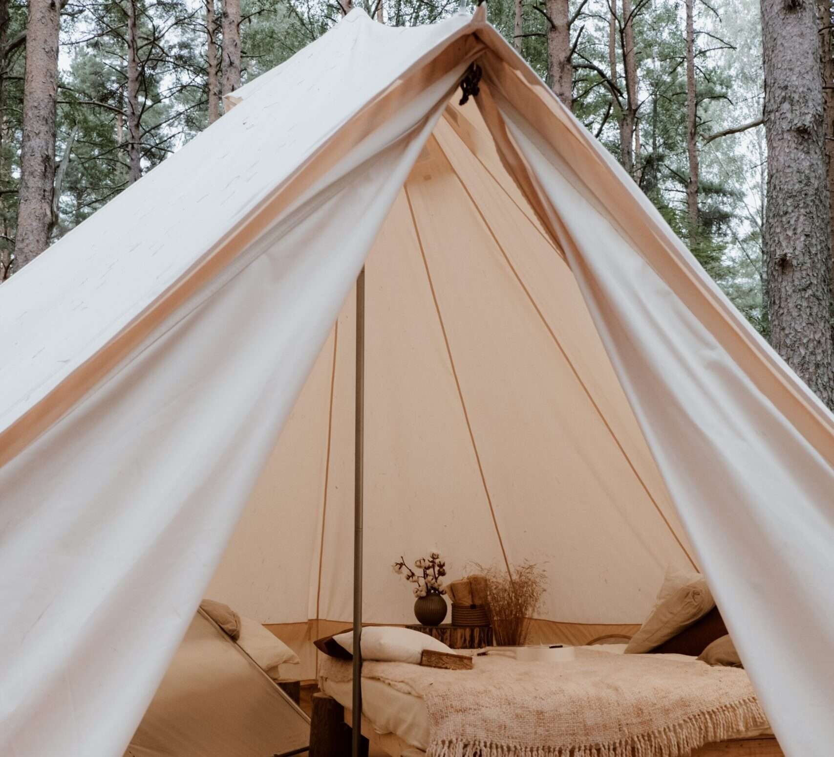 Ideas for tent decoration