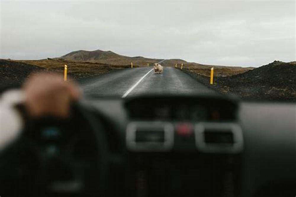 a person driving his car on the road and thinking about why is tent camping road trip is a good idea