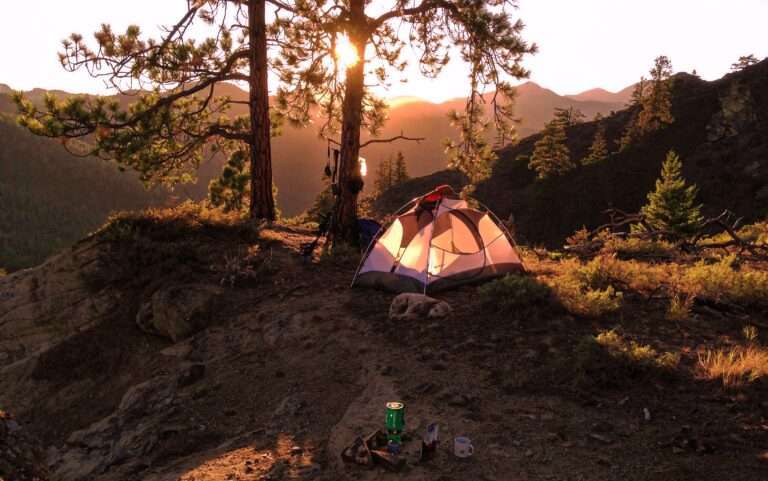 tent camping storage hacks