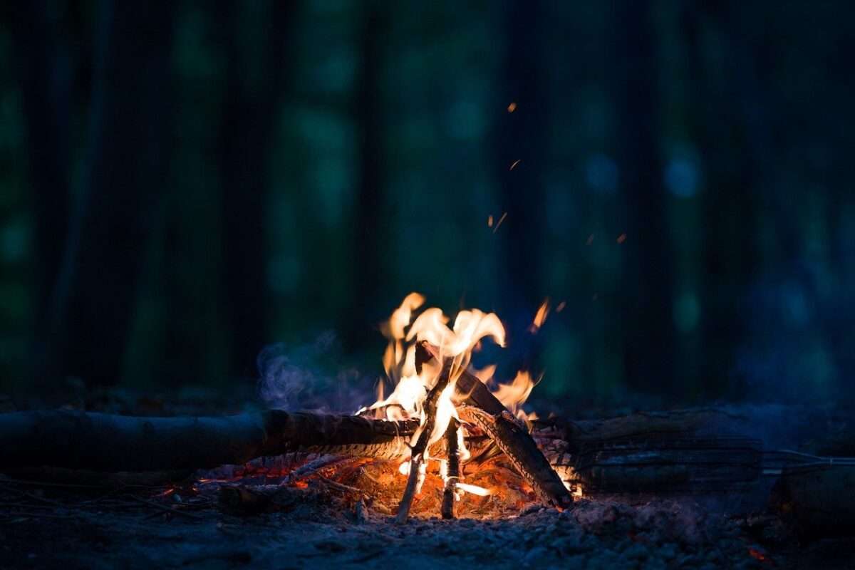 woods burning in night
