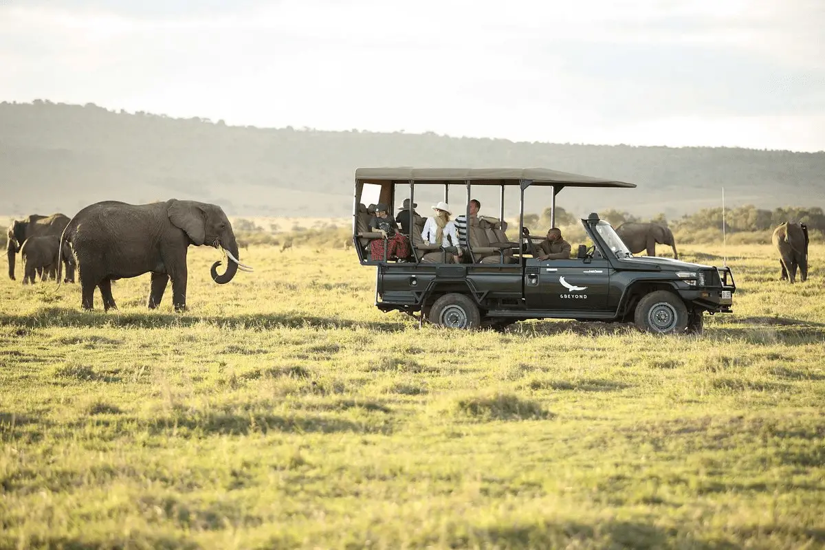 Safari and wildlife at kichwa tembo tented camp
