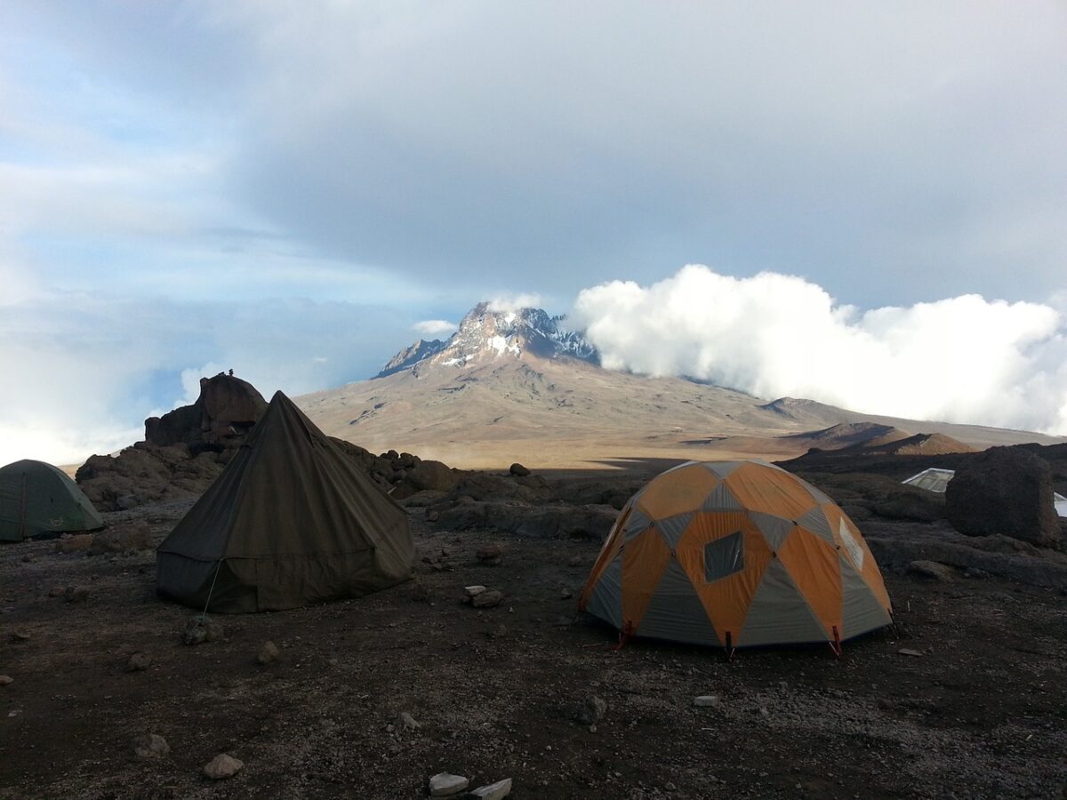 two tents under the shade to stay cool during the camping