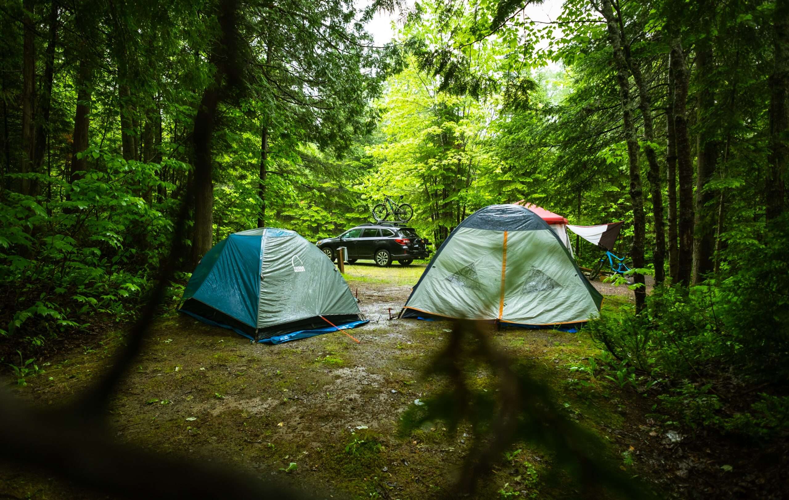 camping while raining in the forest