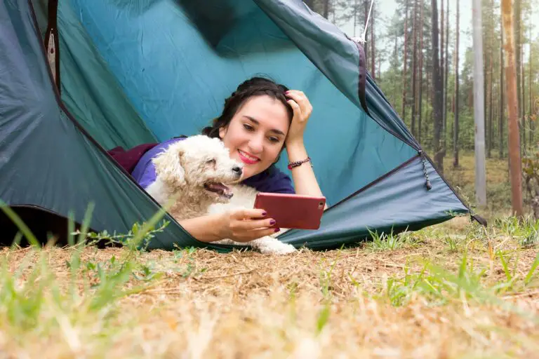 a women lying in the tent and enjoying with his dog