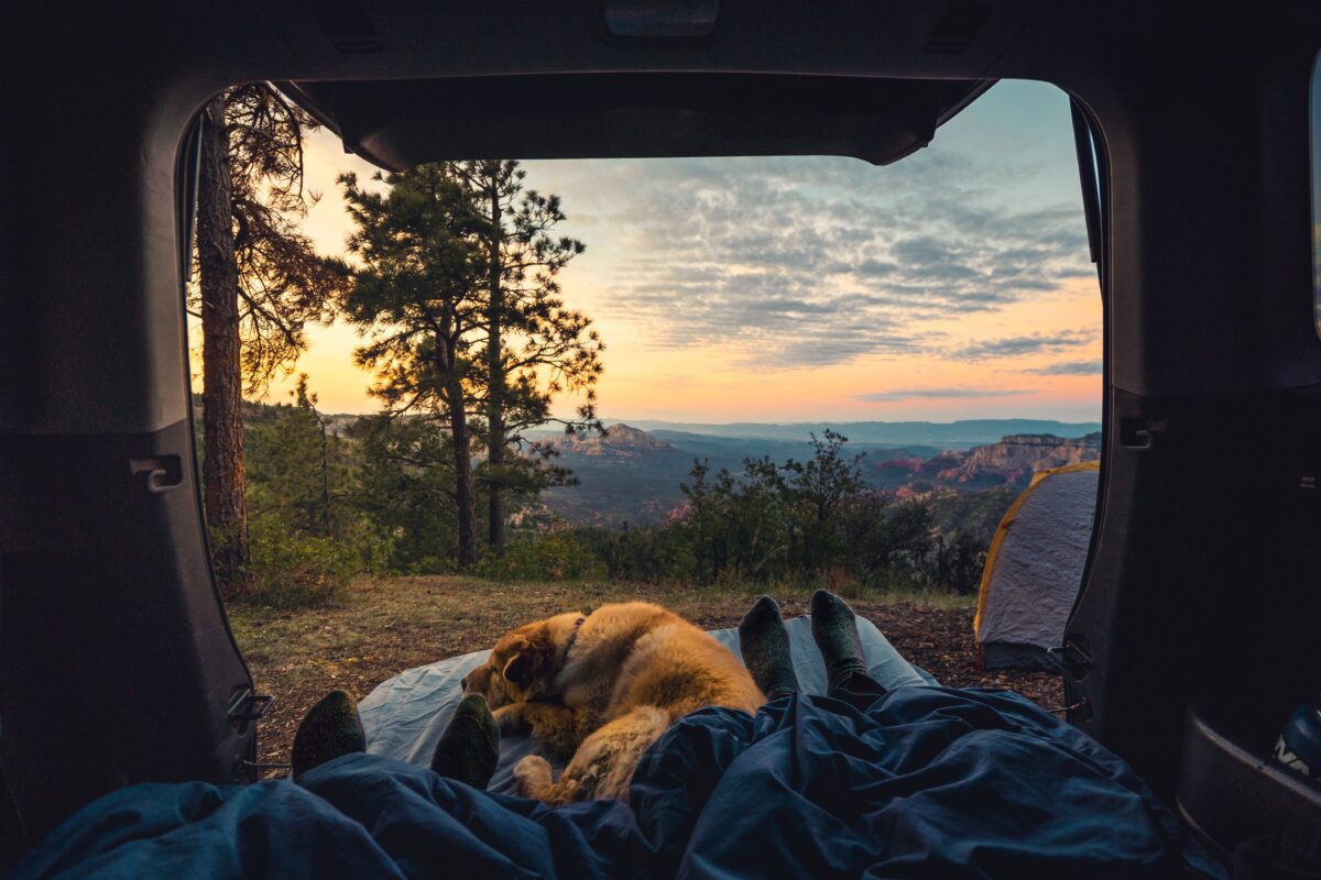 two men with their dos sleeping in their tent freely because they carry essential plastic bins for their camping