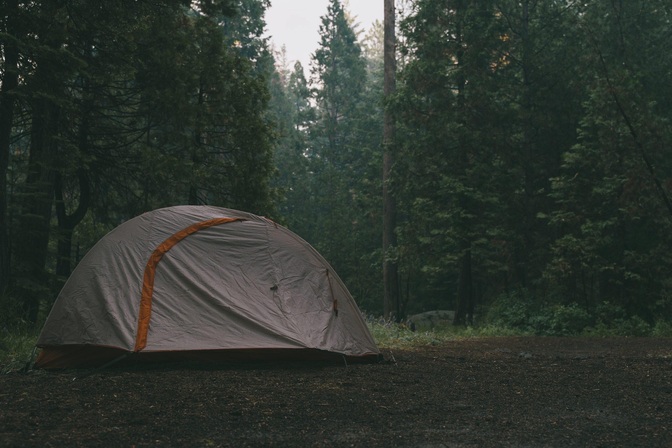 Best waterproof tents for camping in rain
