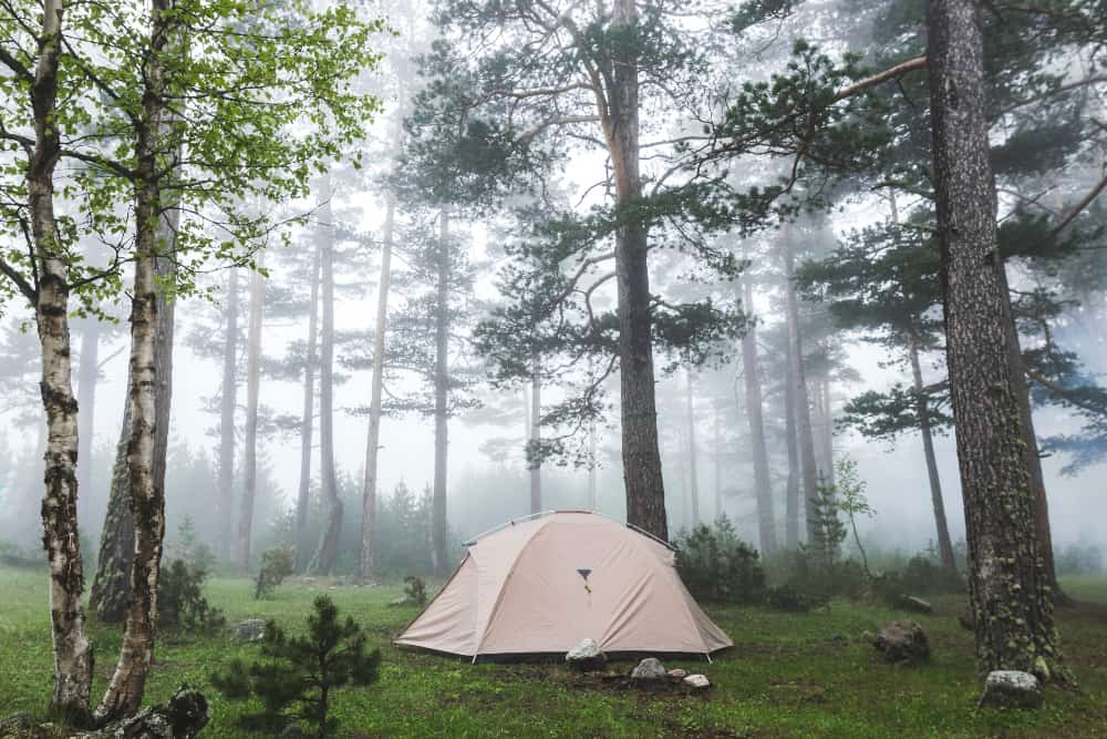 tent camping in the middle of jungle while raining