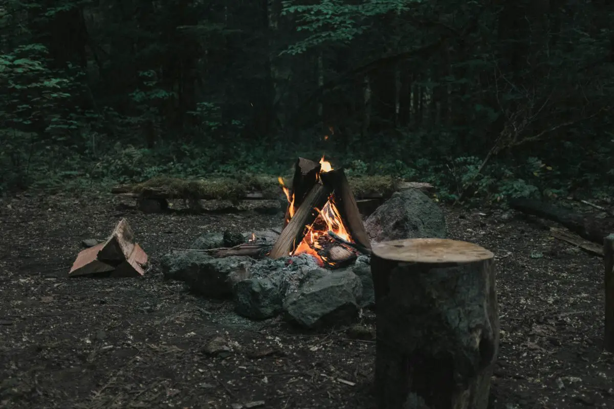Using a camping stove to cook in the woods